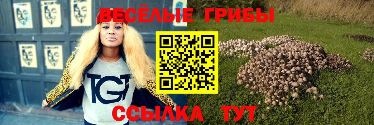 Галлюциногенные грибы мухоморы Шелехов