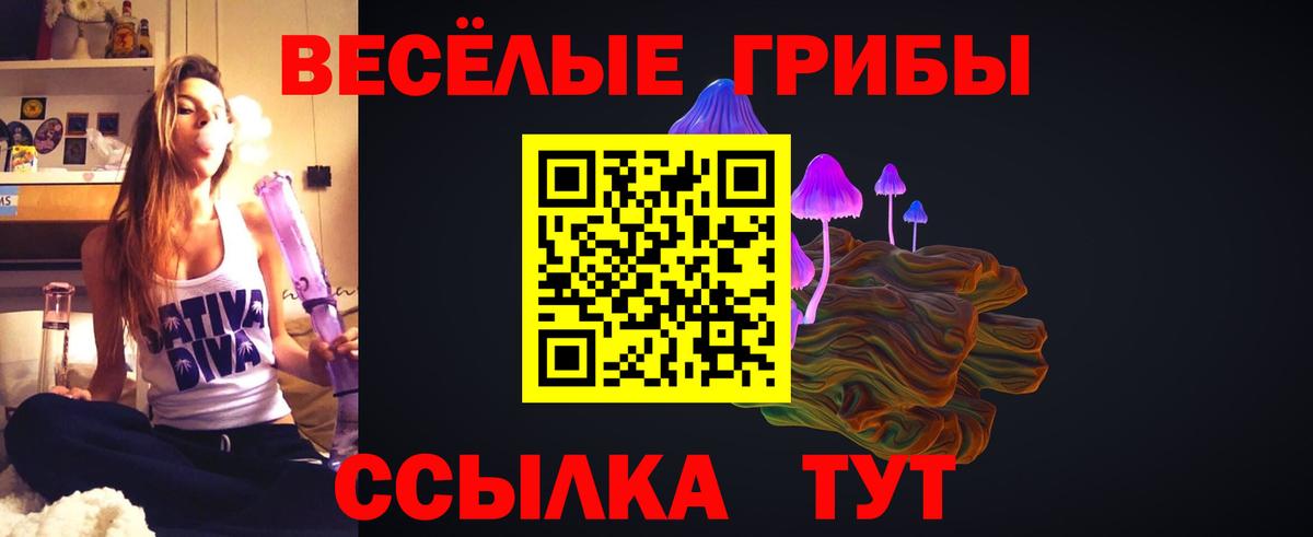 Псилоцибиновые грибы Psilocybe  Вход с VPN  Шелехов 