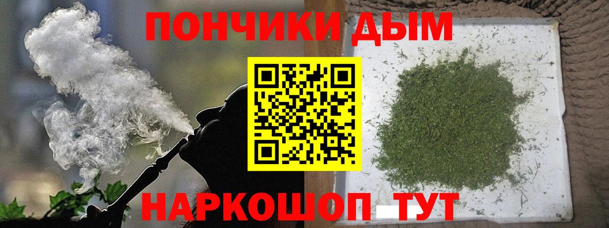 Каннабис индика Шелехов